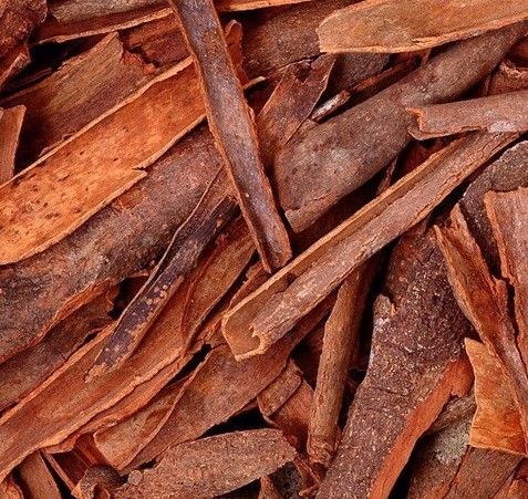 Cinnamomum aromaticum Bark Cassia Cinnamon Bark